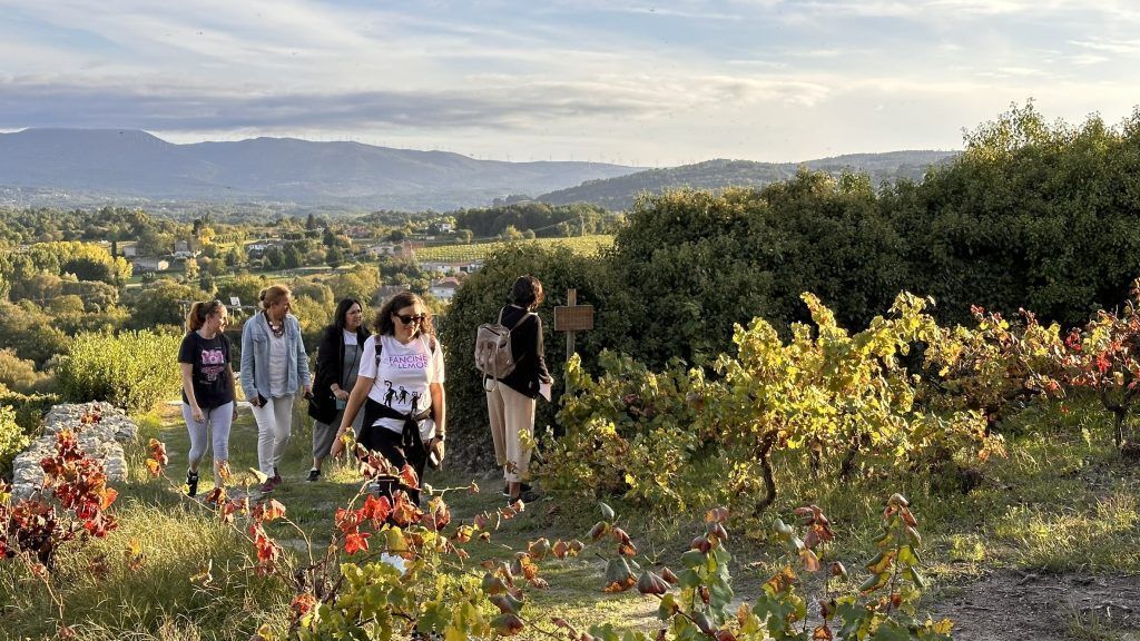 Juego sobre la viticultura heroica en la Ribeira Sacra