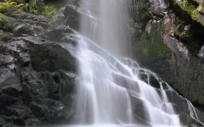 10 imprescindibles que ver en Pantón