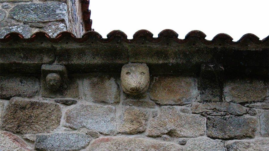 El cocodrilo del Santuario de Augas Santas