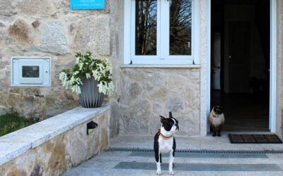 Alojamiento pet friendly, ven a la Ribeira Sacra con tu mascota