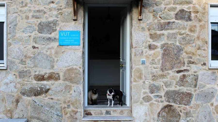 Alojamiento pet friendly en Ribeira Sacra