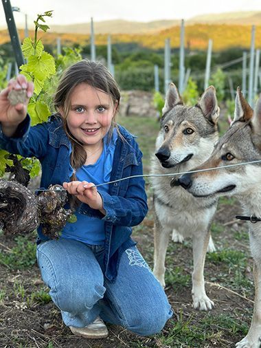 El plan más divertido en la Ribeira Sacra con perro