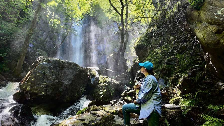 Esta cascada también puedes visitarla con tu mascota