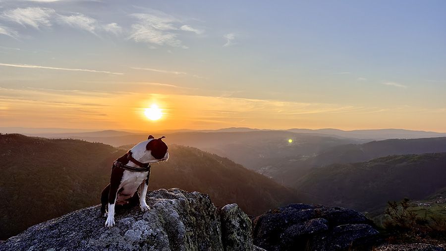 Visita el Mirador de Pena Pombeira con perro