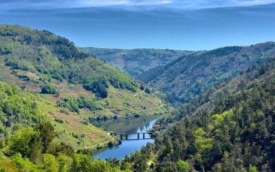 Adéntrate en la viticultura heroica de Ribeira Sacra con un escape room