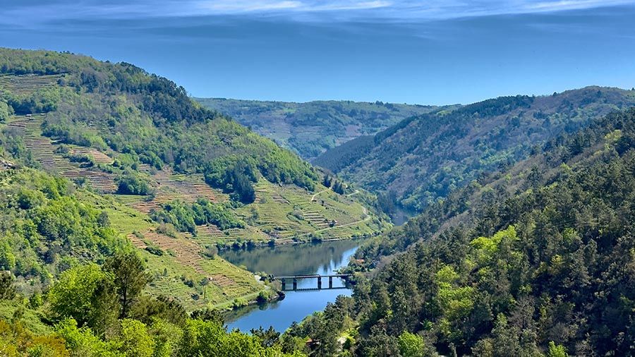 La ruta de los viñedos pasa por Pincelo y tiene paisajes únicos