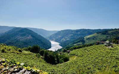 No cometas estos errores si visitas la Ribeira Sacra