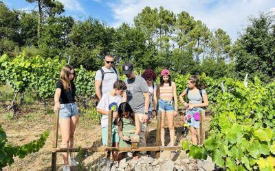 Ribeira Sacra con niños: tenemos el plan ideal para toda la familia