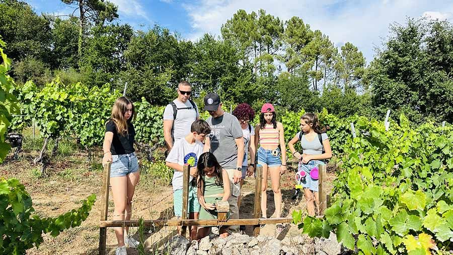 Ribeira Sacra con niños: tenemos el plan ideal para toda la familia