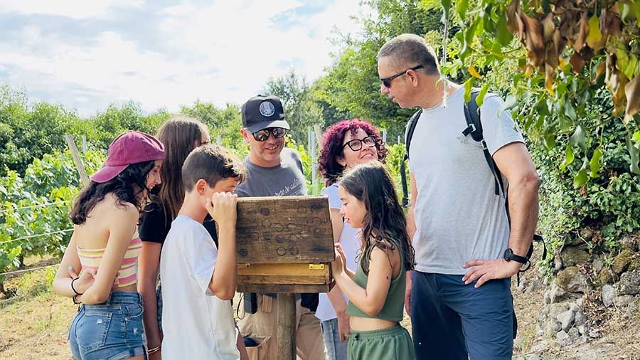 El plan ideal para hacer en Ribeira Sacra con niños