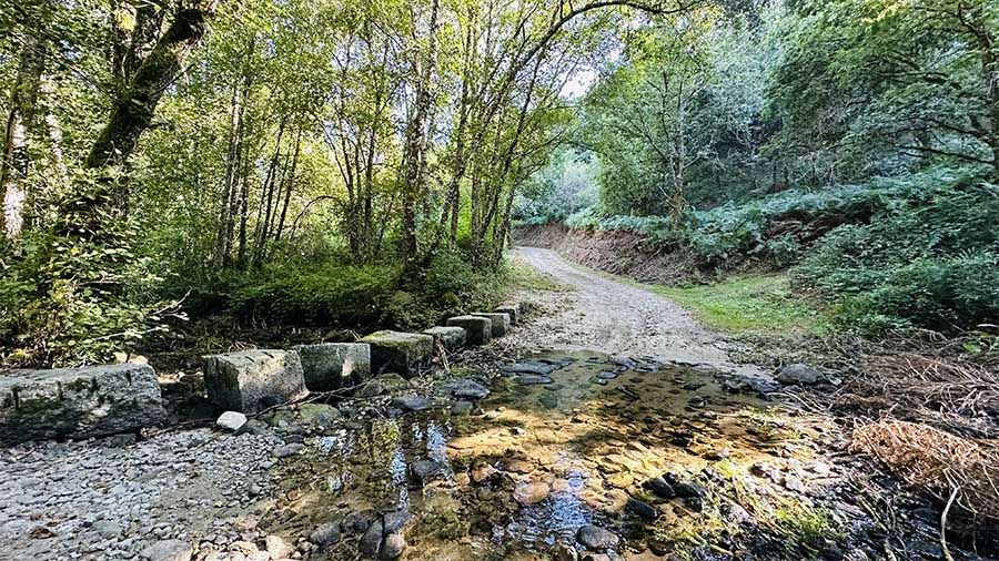 La Ruta del Monje es una de las rutas de senderismo de Pantón con más encanto