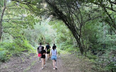 Rutas de senderismo en Pantón para descubrir la Ribeira Sacra