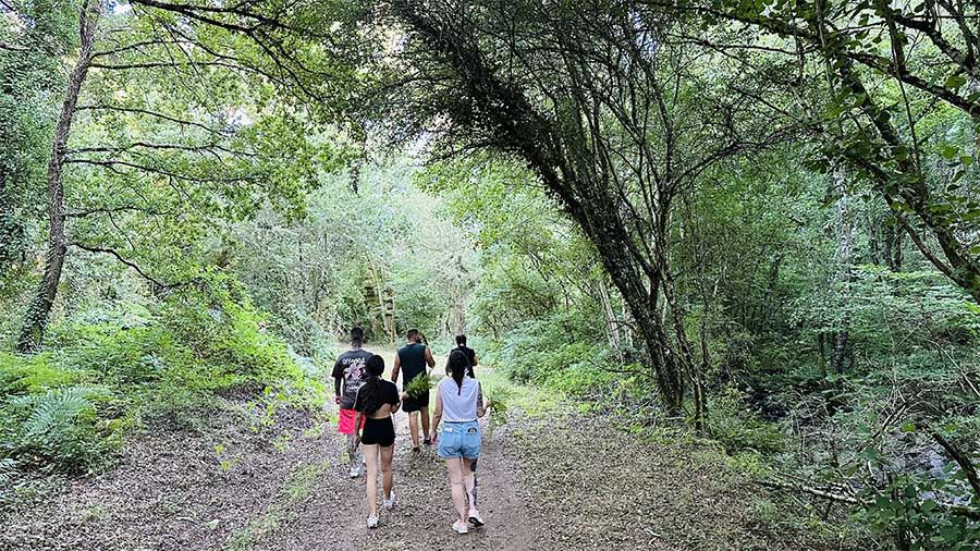 Rutas de senderismo en Pantón para descubrir la Ribeira Sacra