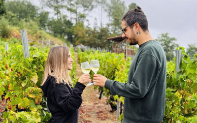 Enoturismo en Ribeira Sacra: experiencias más allá de las bodegas