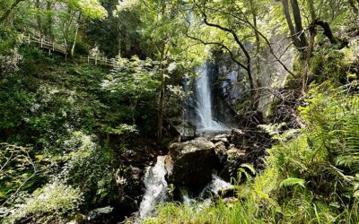 Fervenza de Augacaída: la cascada más bonita de la Ribeira Sacra está en Pantón