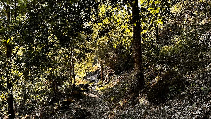 Parte del sendero al Castro de Marce