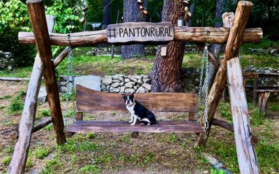 Escape room con perro: un planazo entre viñedos en Ribeira Sacra