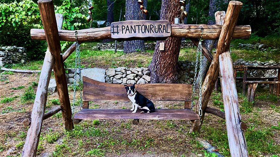 Escape room con perro: un planazo entre viñedos en Ribeira Sacra