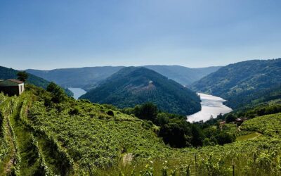 Ruta por la Ribeira Sacra desde Pantón