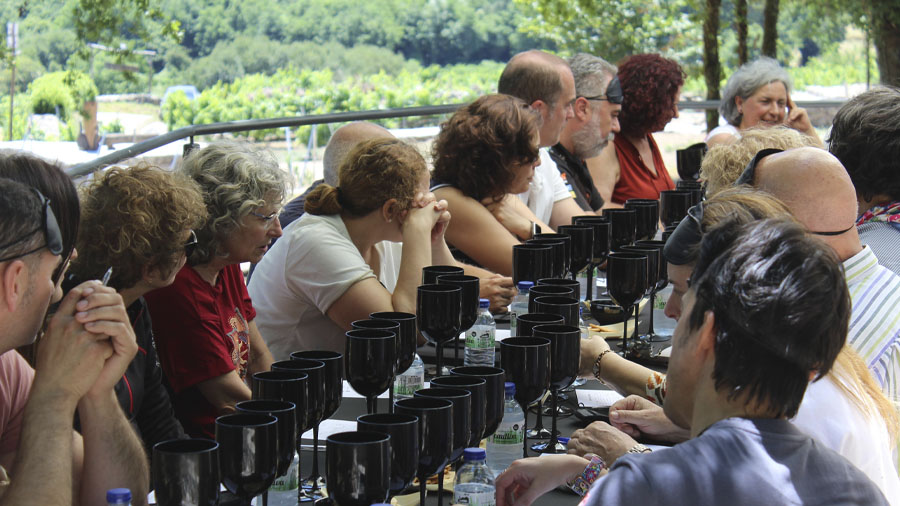 Momentos de la Cata a Ciegas del Festival del Vino de la Ribeira Sacra