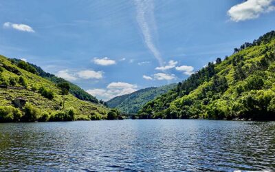 Consejos para planificar tu viaje a la Ribeira Sacra: guía para vivir una experiencia inolvidable