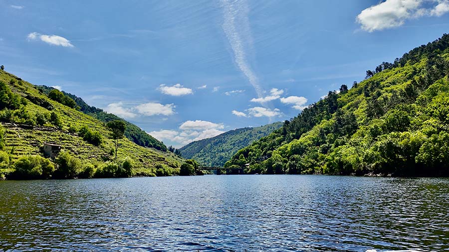 Vistas de bancales en la ruta fluvial por el Miño