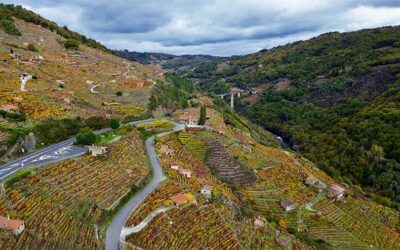 Otoño en Ribeira Sacra: disfruta de los colores más especiales del año
