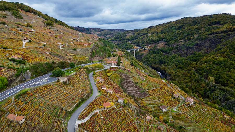 Otoño en Ribeira Sacra: disfruta de los colores más especiales del año