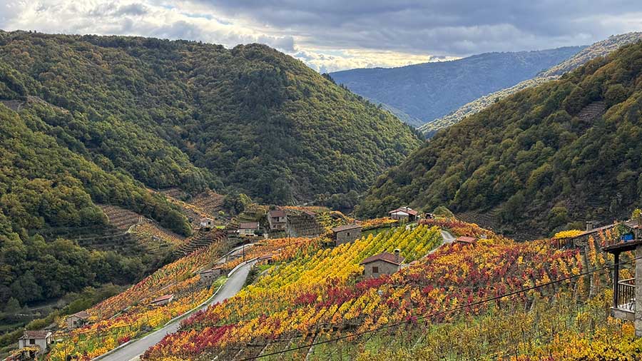 El otoño en Ribeira Sacra es especial