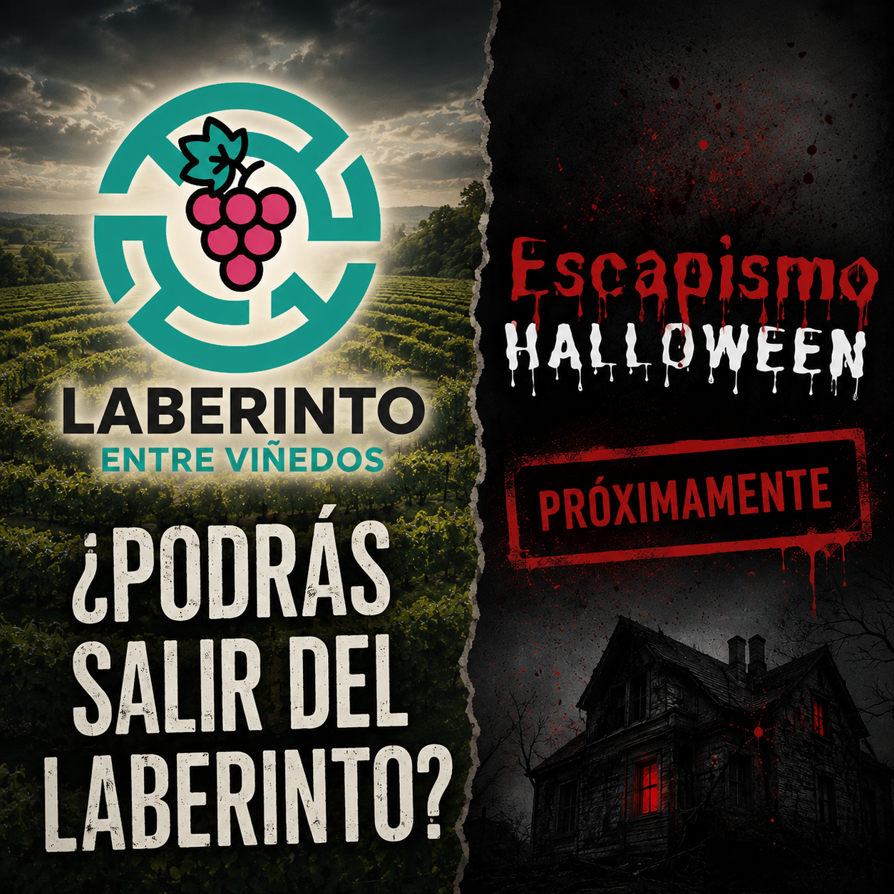 Laberinto entre Viñedos y Escapismo Halloween